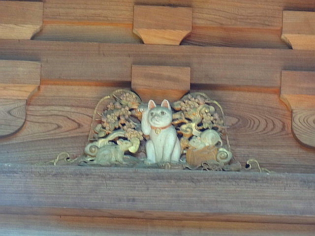 猫と牡丹と銭湯とチータ　だ～から歩いて豪徳寺_e0016828_1111643.jpg
