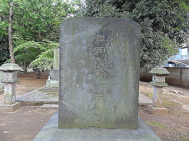 猫と牡丹と銭湯とチータ　だ～から歩いて豪徳寺_e0016828_11142535.jpg