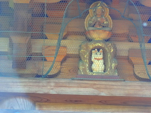 猫と牡丹と銭湯とチータ　だ～から歩いて豪徳寺_e0016828_112549.jpg