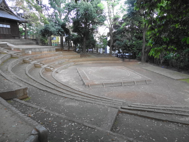 猫と牡丹と銭湯とチータ　だ～から歩いて豪徳寺_e0016828_1145452.jpg