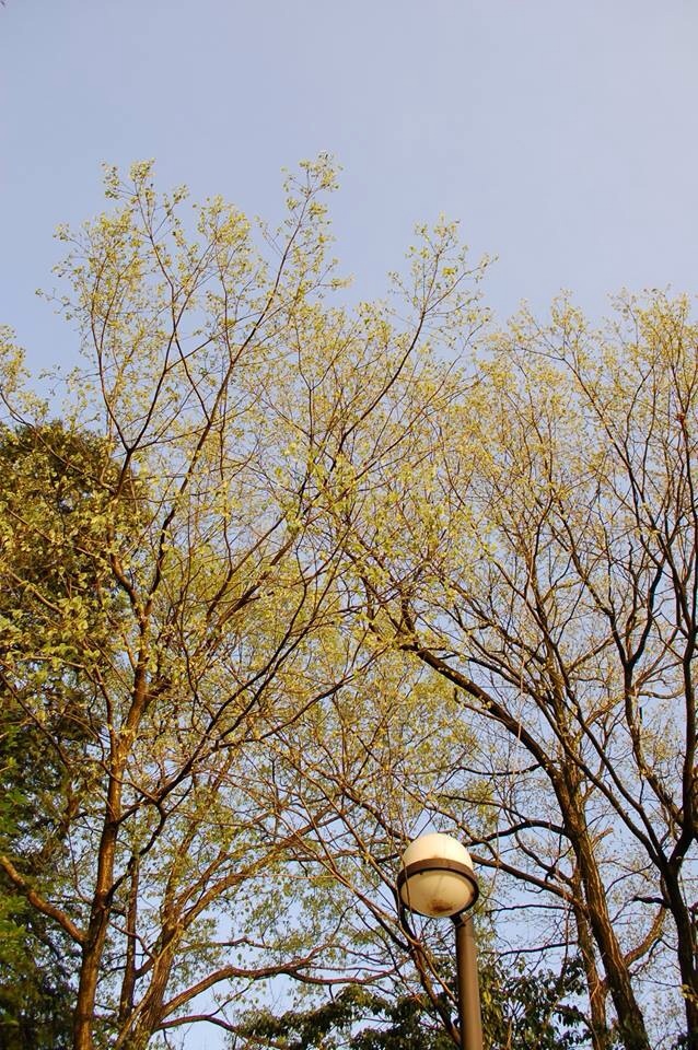 b0097729_23574178.jpg