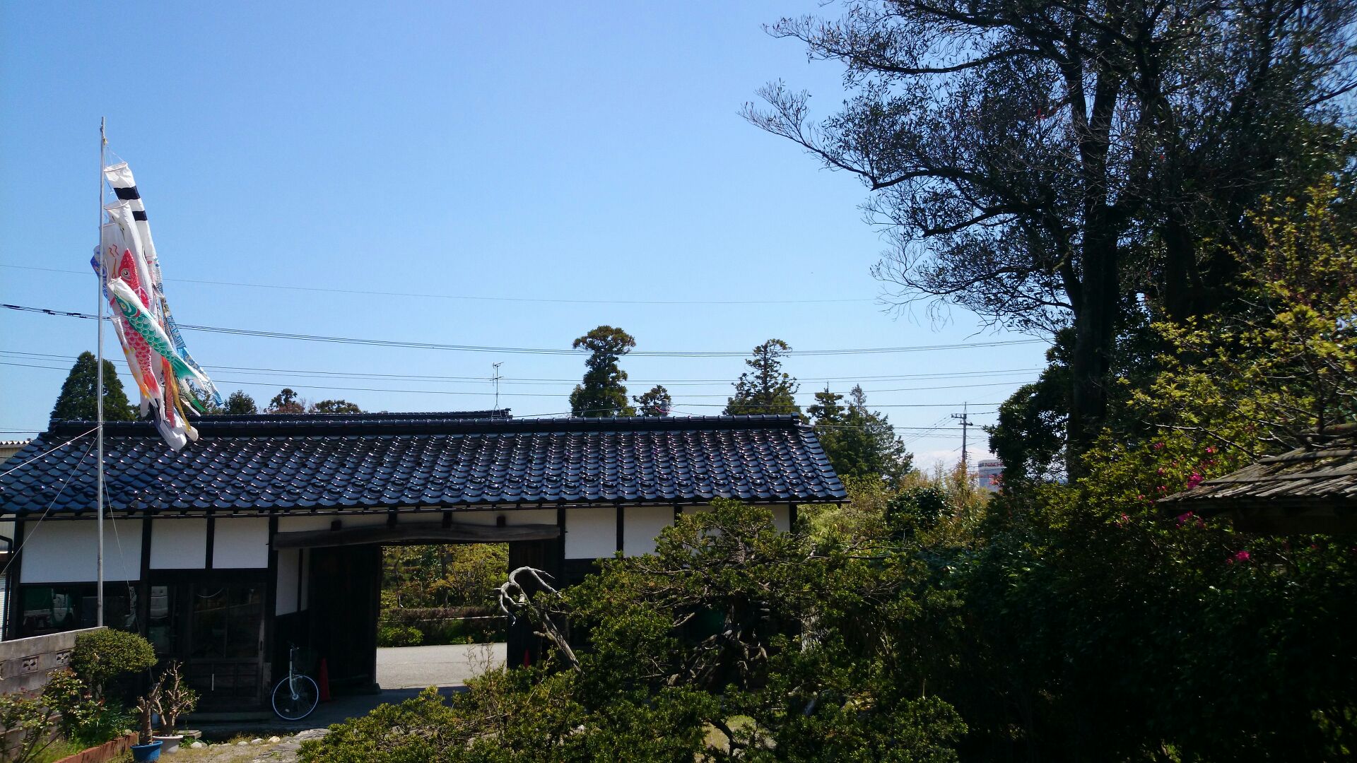 もときち君の話。_d0180229_1115683.jpg