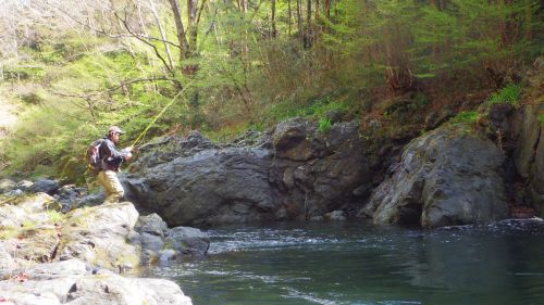 桂川水系K川釣行 その2_c0149633_17371625.jpg