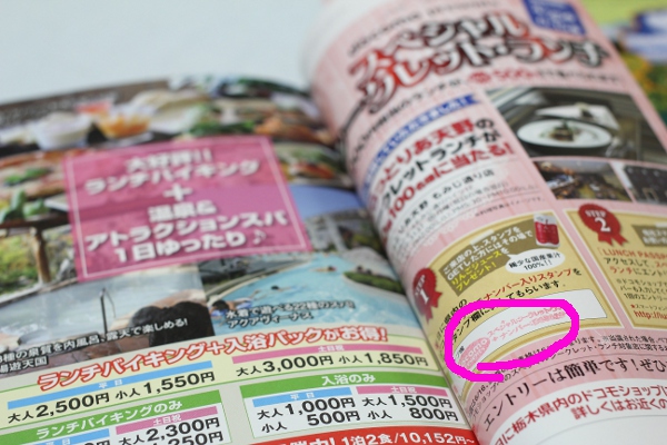 ランチパスポート宇都宮・第5弾と栃木パスポートについて_e0227942_20061748.jpg