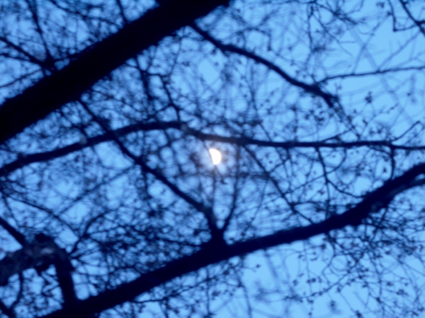 e0296043_2131079.jpg