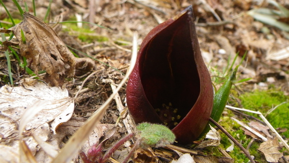 c0042847_155512.jpg
