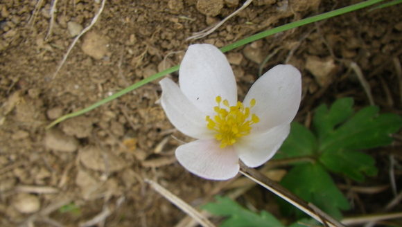 c0042847_1644165.jpg