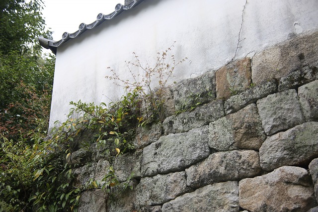f0288049_7511945.jpg