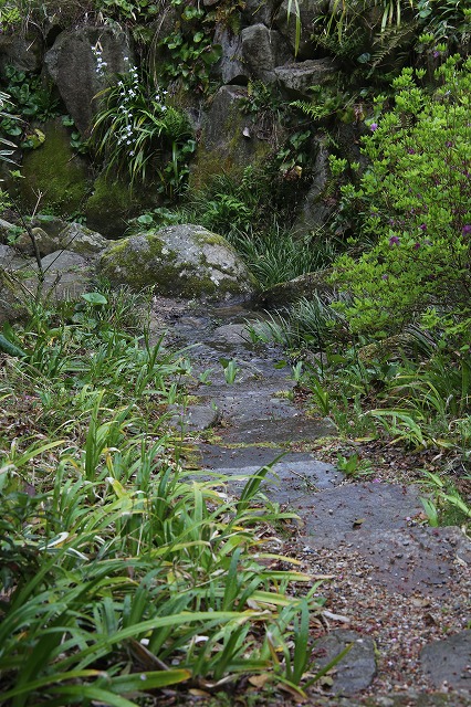 静かな雨の中で_f0288049_7514974.jpg