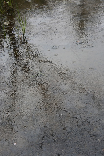 f0288049_752734.jpg