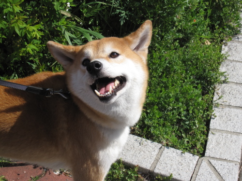 f0245650_07461944.jpg