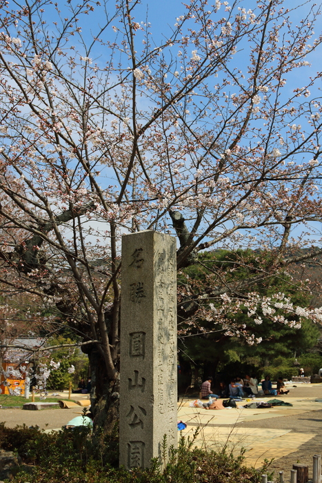 3月京都の旅、円山公園　3_d0152261_1201683.jpg