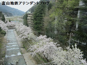 GWが、始まるよ_a0243562_16525570.jpg