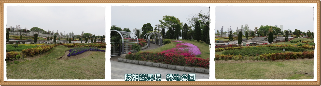 a0052666_93516.jpg