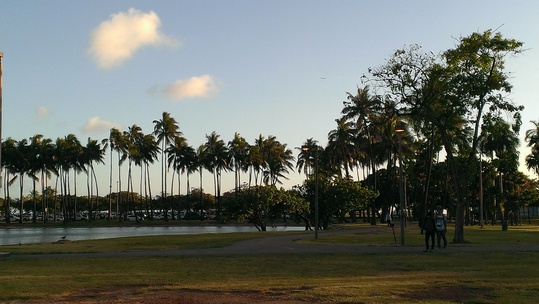 e0119166_16123352.jpg