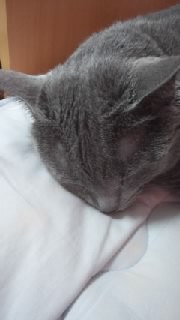 f0200871_2314041.jpg