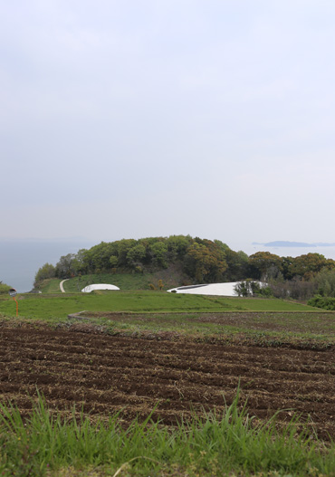 b0086273_69580.jpg