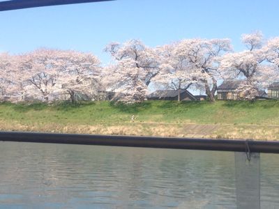 花見だ_c0120375_21563194.jpg