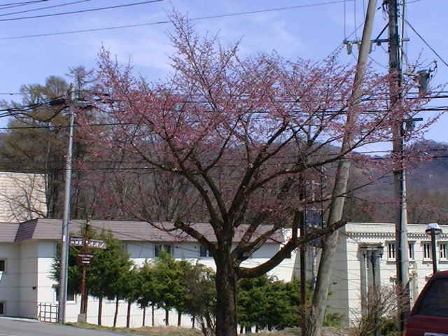 a0140584_10432427.jpg