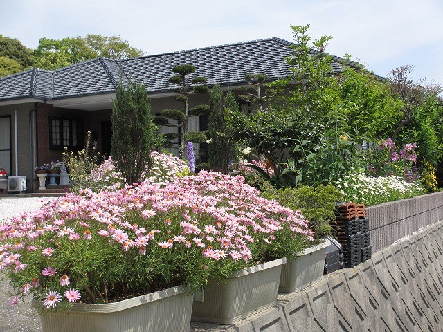 b0182884_2503245.jpg