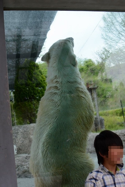 ２０１４年４月　ほぼ毎月とくしま動物園　その２_a0052986_0553347.jpg