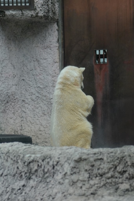 ２０１４年４月　ほぼ毎月とくしま動物園　その２_a0052986_7472452.jpg