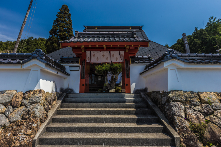 京北の桜を求めて ~後編~_e0051888_14344637.jpg