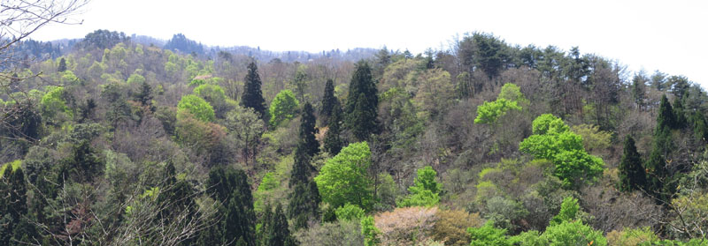 b0223198_21501357.jpg