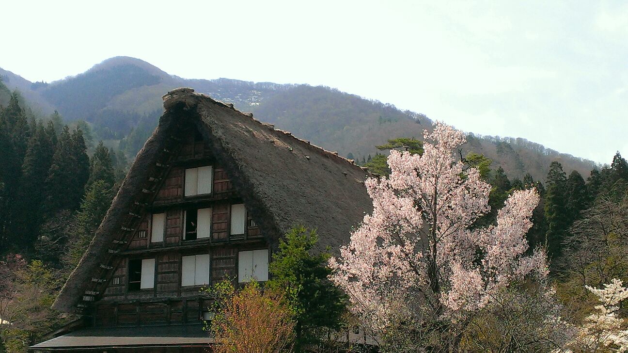 白川郷   五箇山_f0147602_18283764.jpg