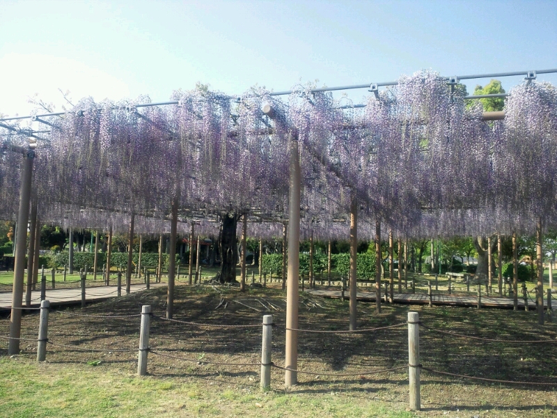 d0306603_11369.jpg