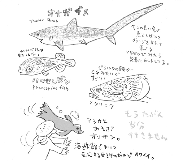 海遊館で魚スケッチ_e0022403_222687.jpg