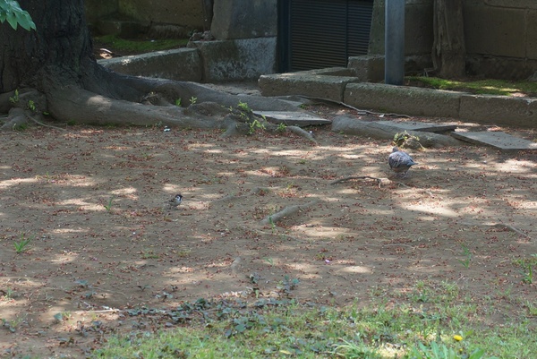 f0036603_18101683.jpg