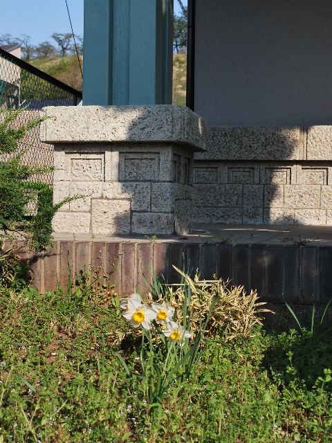 埼玉県秩父市のちちぶ銘仙館(昭和モダン建築探訪)_f0142606_91111.jpg