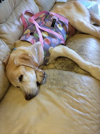c0114121_0275378.jpg