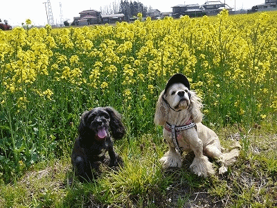 f0326925_22525962.gif