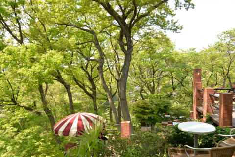 e0335926_00040070.jpg