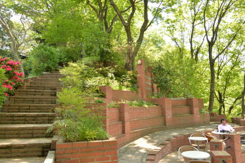 e0335926_00044213.jpg