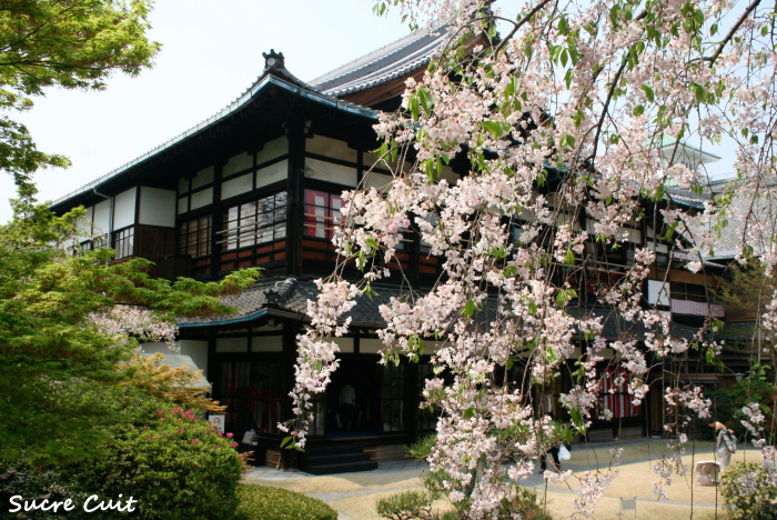 都をどり_c0127227_9484566.jpg