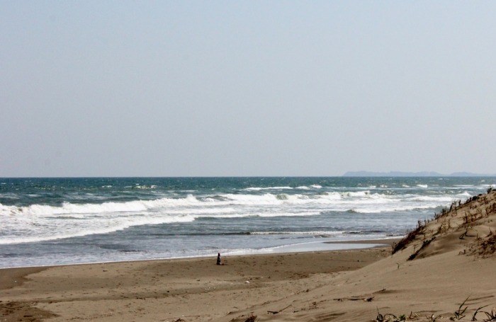 a0230831_1872793.jpg