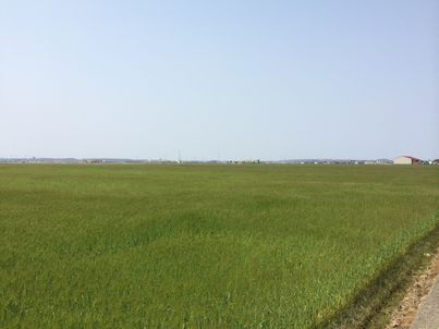 f0328134_21164326.jpg