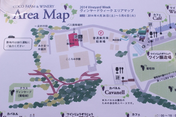 足利 ココ・ファーム・ワイナリーのヴィンヤードウィーク2014_e0227942_22574986.jpg