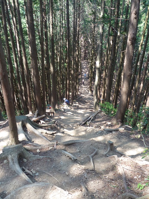 4/26　高水三山_d0288144_22271113.jpg