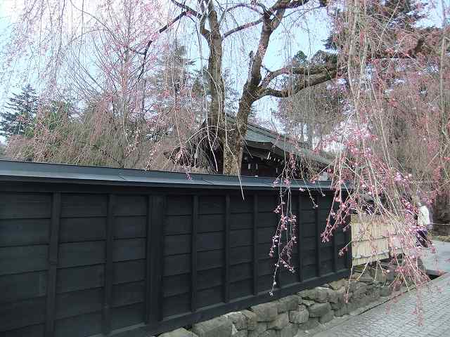 一日目は角館で桜見物の予定です_d0131847_22525824.jpg