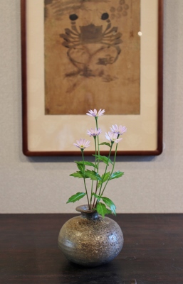 花だより ミヤコワスレ_a0279848_14433562.jpg
