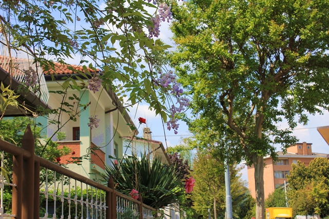 a0249451_01094500.jpg