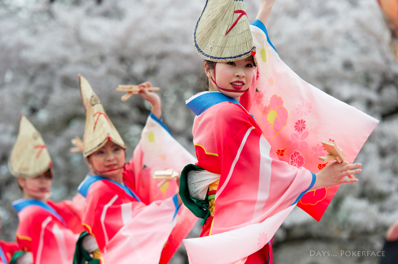 2014 京都さくらよさこい 7_d0079559_1395883.jpg