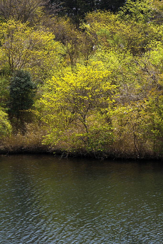 c0260264_15856.jpg