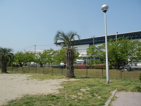 d0152869_2132860.jpg