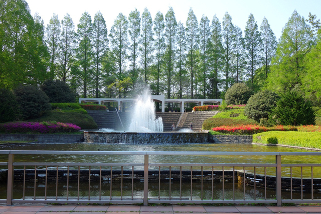 c0005077_18562528.jpg