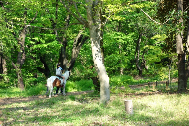 c0005077_18574988.jpg